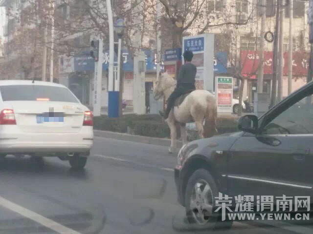 142019giiyg2l4tm4oiyot.jpg