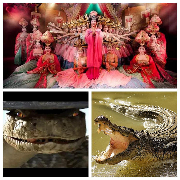 �����������ݣ�����ʹΪʳ���� 2016��ҫμ�����Ժ����ֿ�Party������