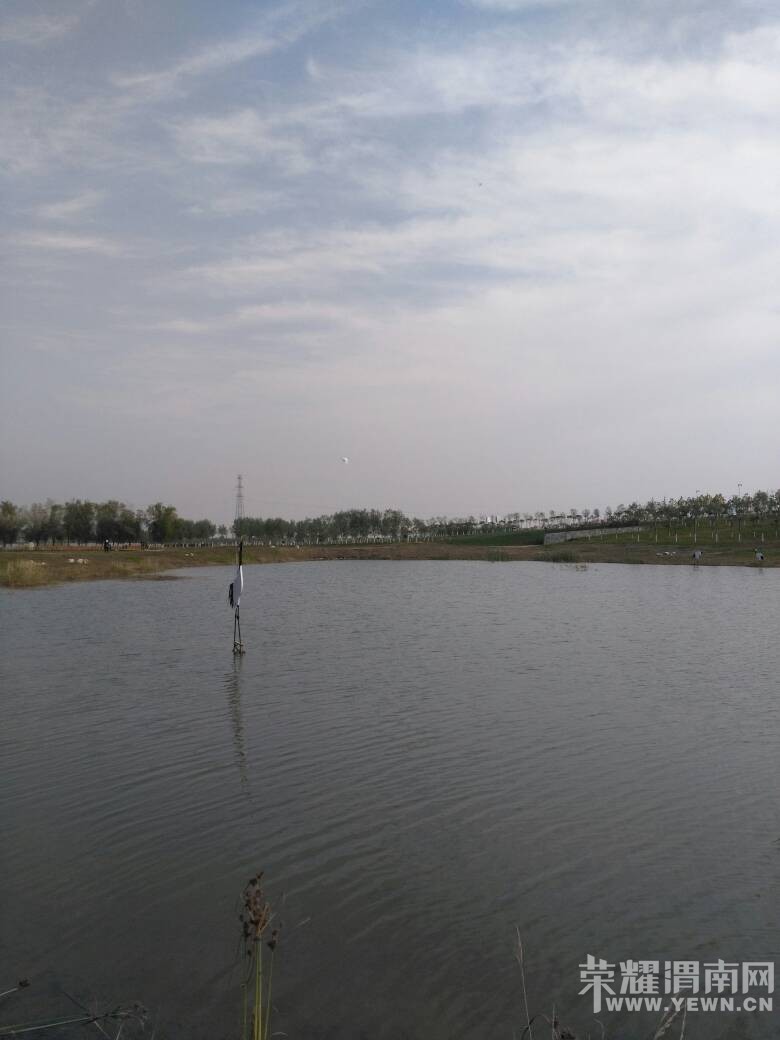 065050z67wdz6r61sr922d.jpg