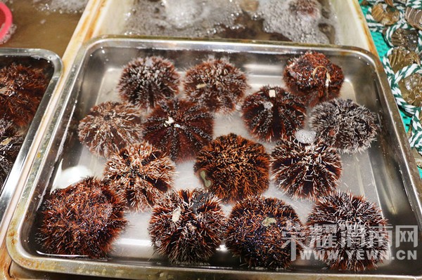 ��ı�Ѿõ����У�˵�߾��ߡ�