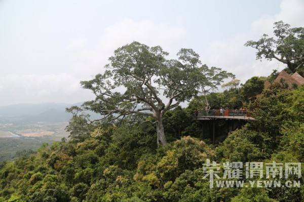 ��ı�Ѿõ����У�˵�߾��ߡ�