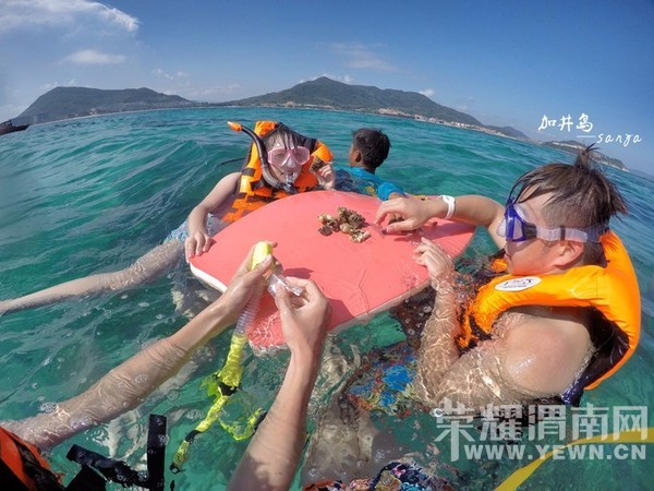 ������ҹ������������һ�����ε��ġ�