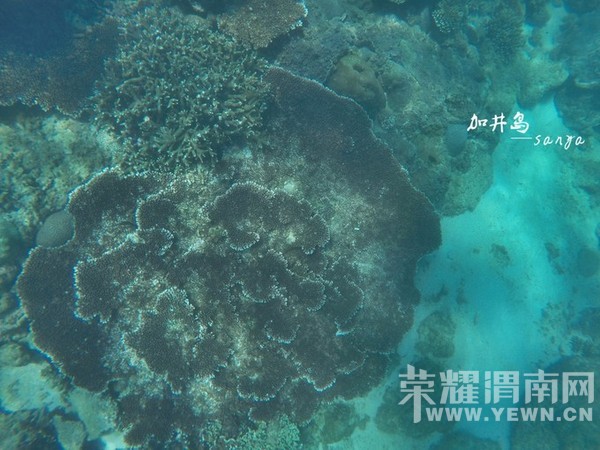 ������ҹ������������һ�����ε��ġ�