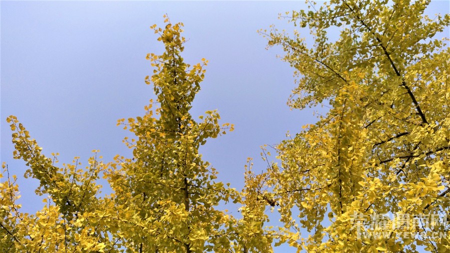 090329jk1vm3l0wkazv34l.jpg