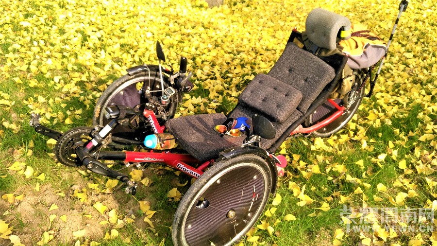 090637vuobhz65utoodbee.jpg
