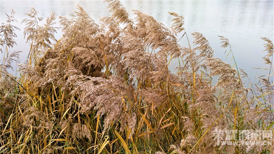 092514gds09rnknmzmqmir.jpg
