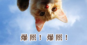 գˮ³ǰ˺¥ʩȣ