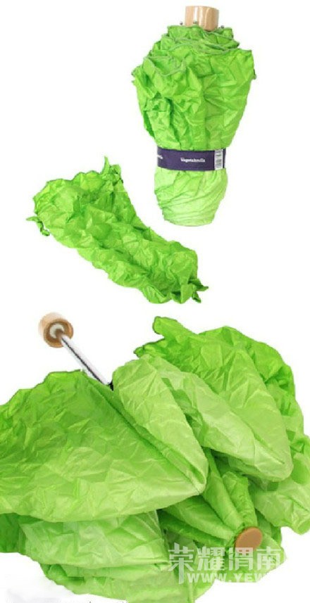 Ϊ�Ի���������������ķ��ӣ�Ϊë�Ҿ����е����۾�