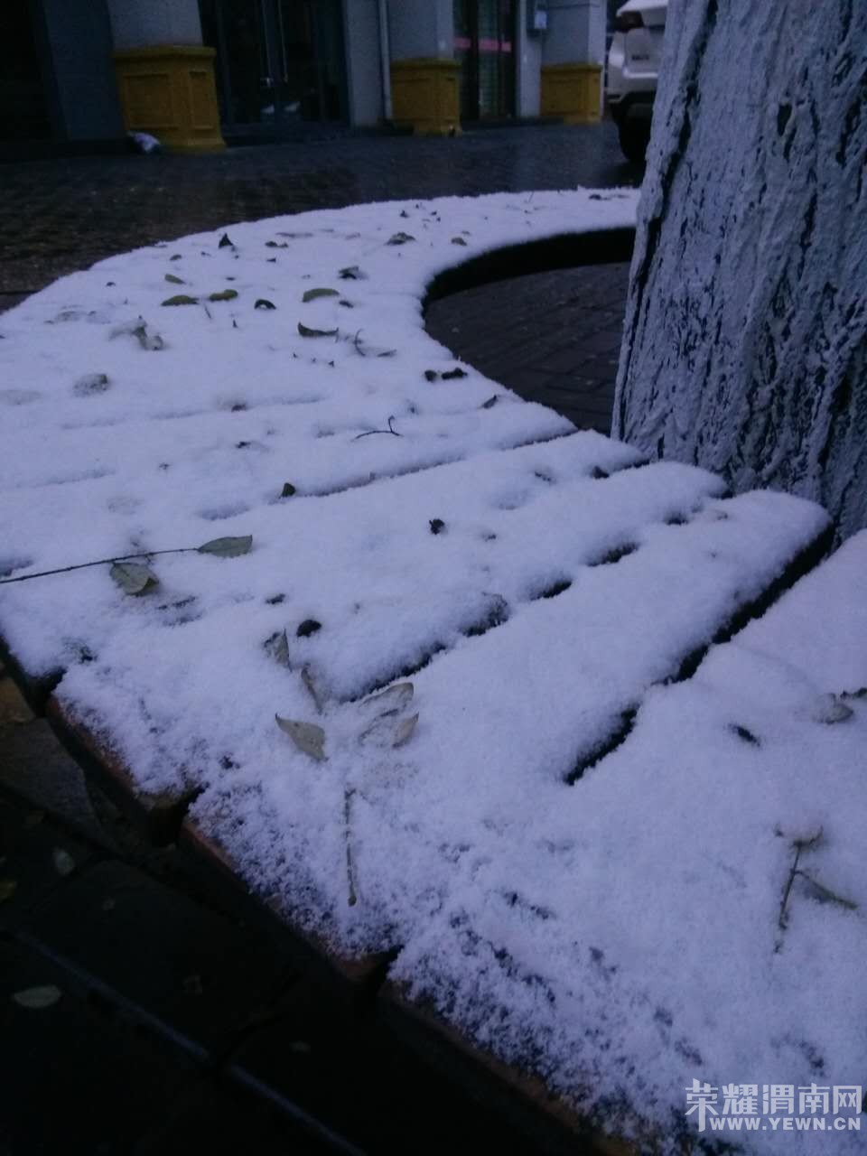 ���������~~~~