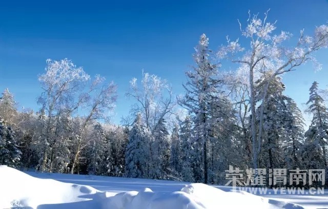 ��μ�Ϸŷ������������ˡ�����ѩ��˫��������