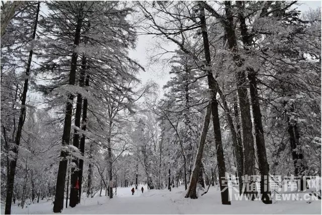 ��μ�Ϸŷ������������ˡ�����ѩ��˫��������