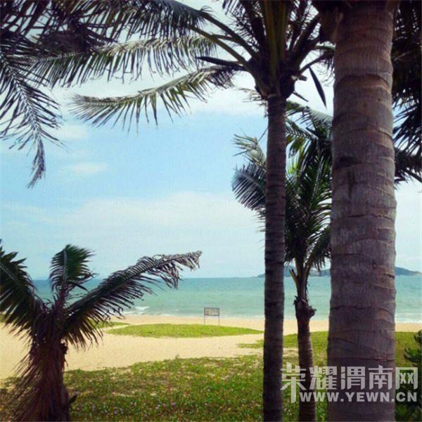 ��һ���ķ�񣬣����Ʋ�һ������