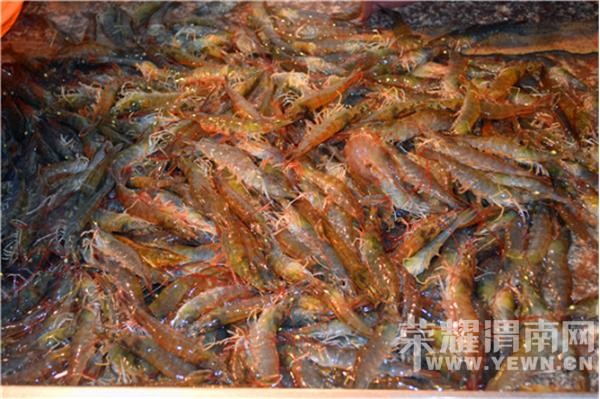 ��һ���ķ�񣬣����Ʋ�һ������