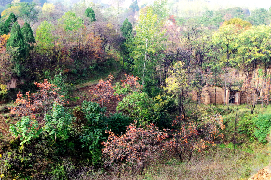 �����������