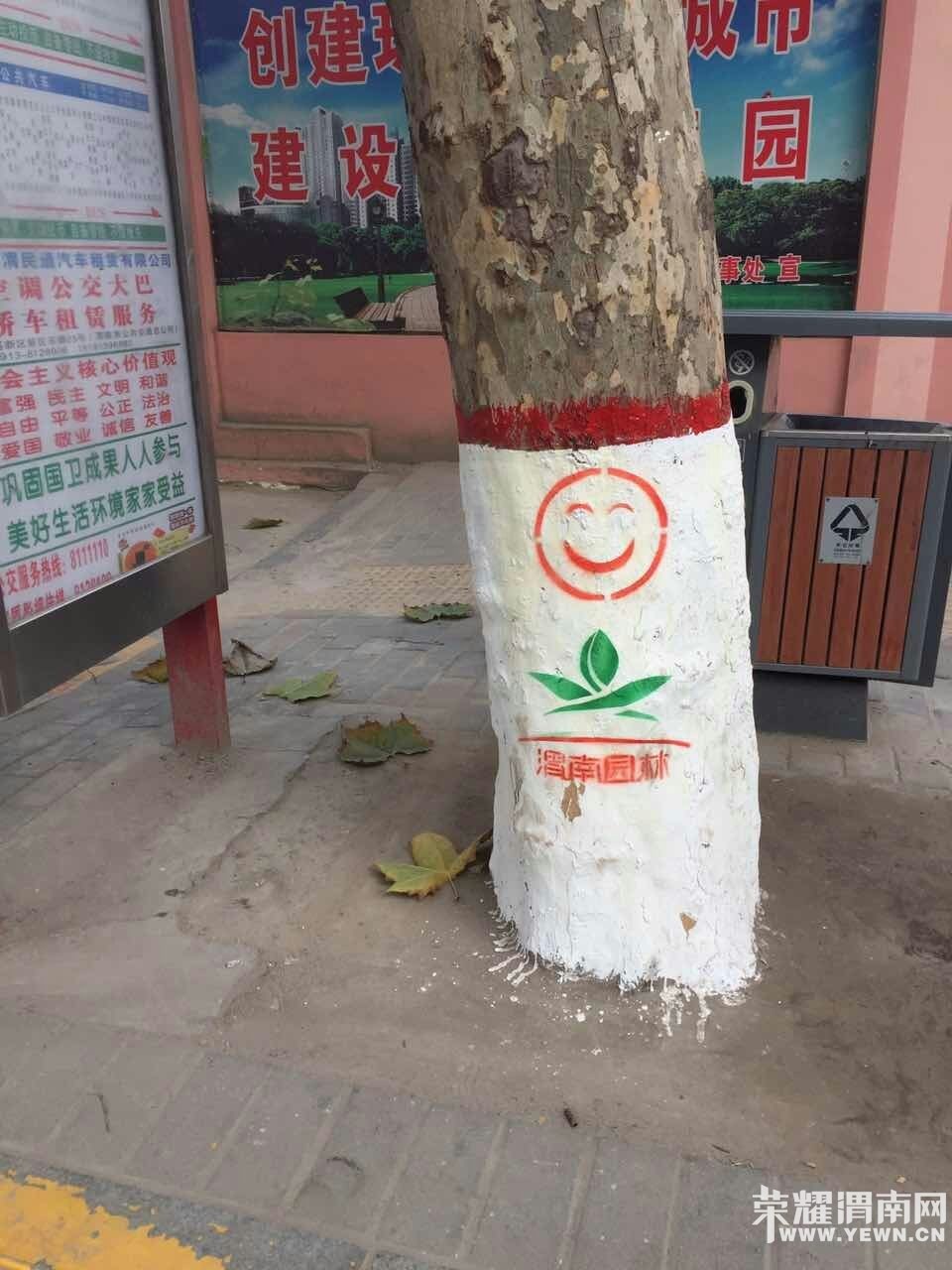 μ����԰�ִ�500��ְ��Ϊ�е�����������������������