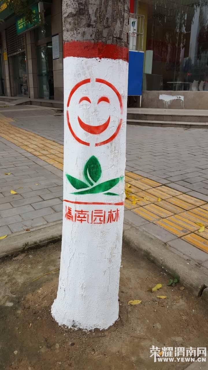 μ����԰�ִ�500��ְ��Ϊ�е�����������������������