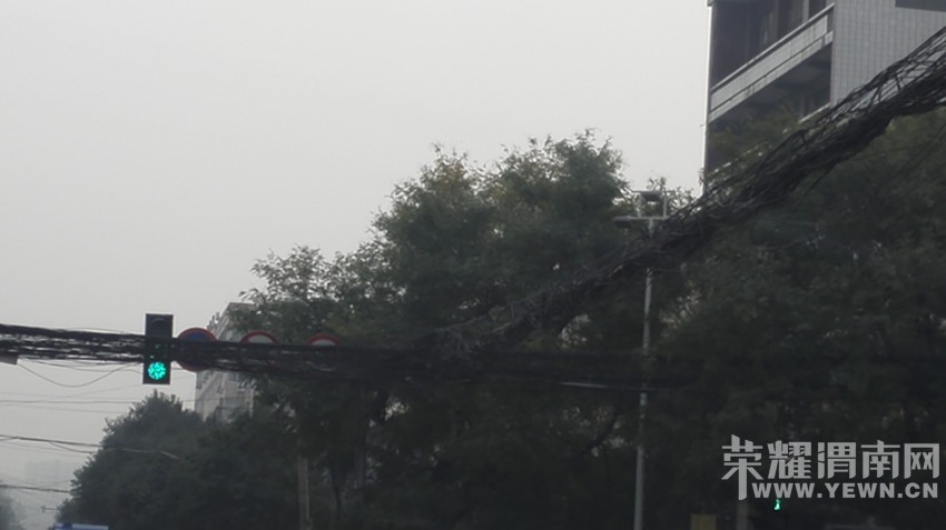 ���������·ʮ�ֿ���֩�����ڵ����̵���