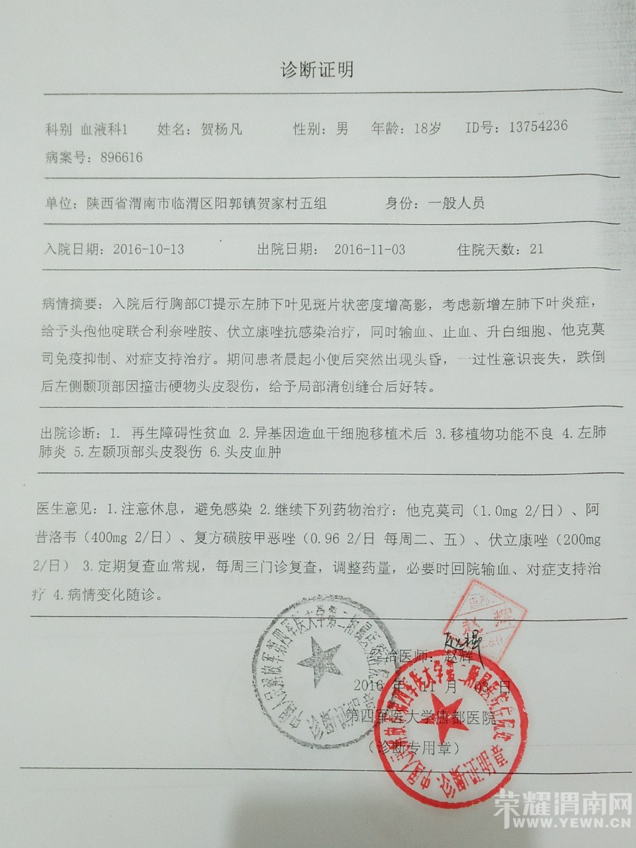 ����.���Ϻ����Ѫ�š��ٴ���Ժ