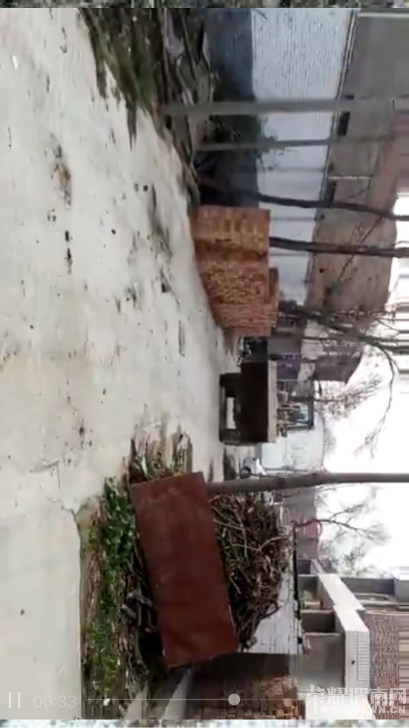 182502s3hhk33n3m9xwkz9.jpg
