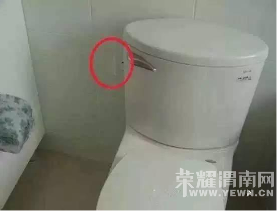 150100q9qrq9dz9ohzowlu.jpg