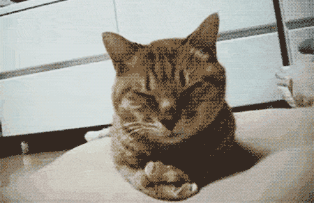 3cadf77f7b3119f7c20a45fae768fe269aed28341b3079-YaGOpo_fw658.gif