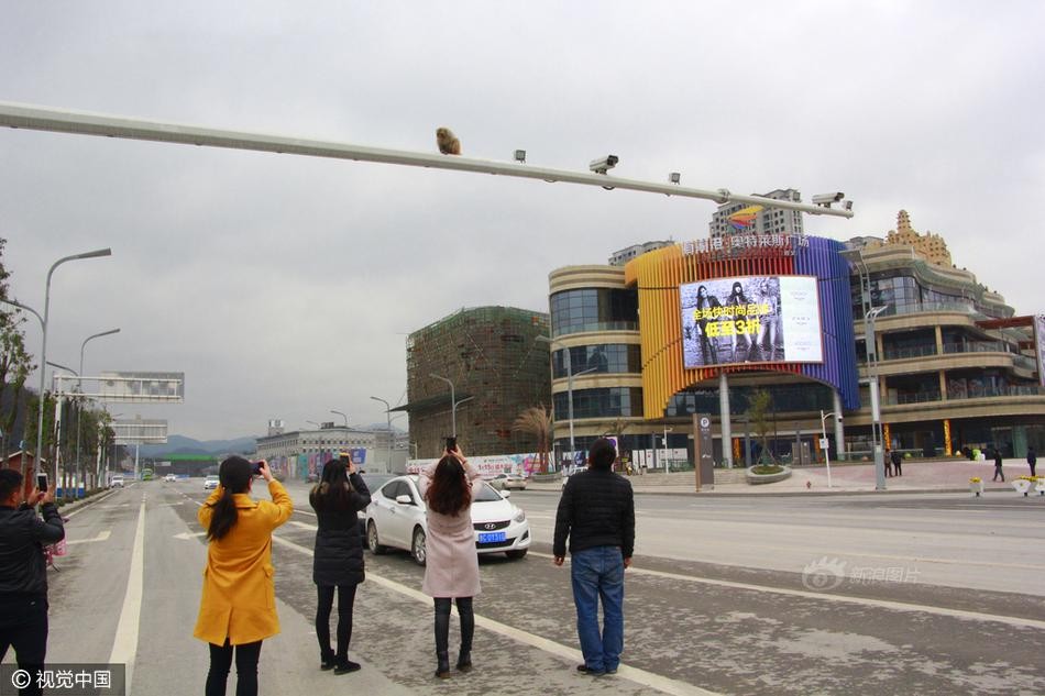 Zw_J-fycnyhk8736600.jpg