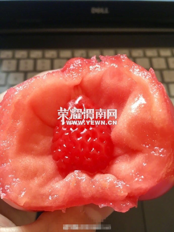 19269994_980x1200_0.jpg