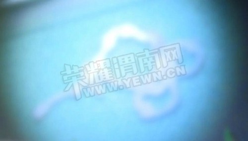 t019a7702a9dc605b59.jpg