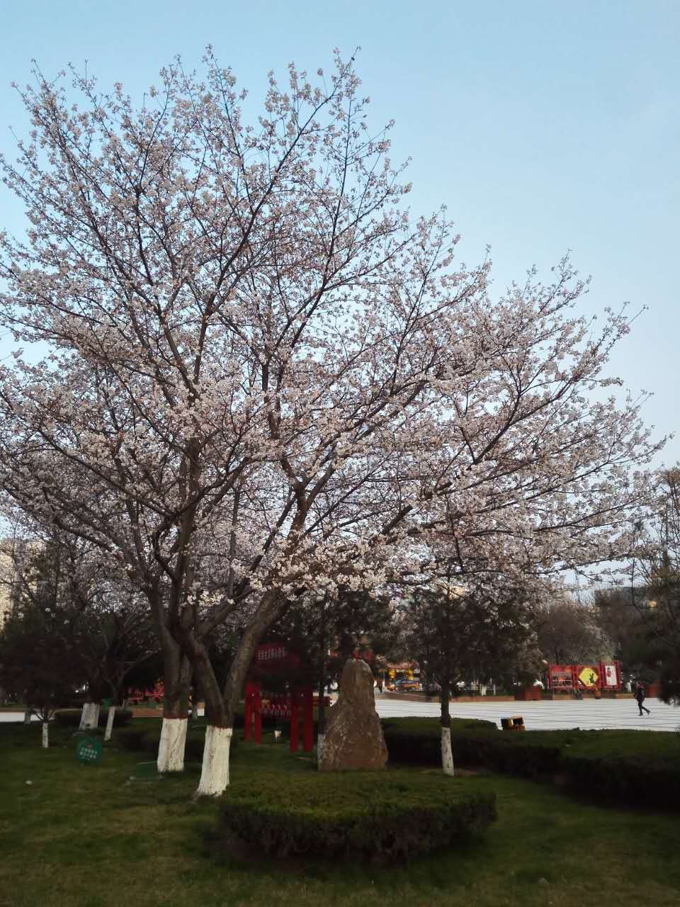 ���Ĺ㳡ӣ��