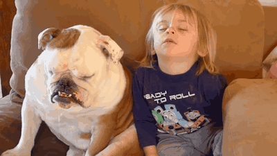 12564768a4d615503cda762afc3ef00c.gif