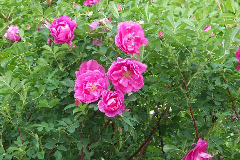 20170426_093727.jpg