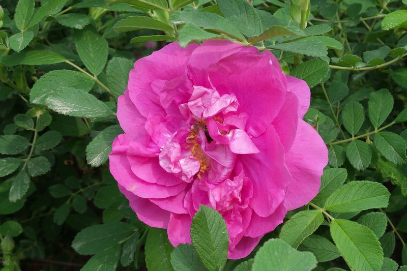 20170426_094045.jpg