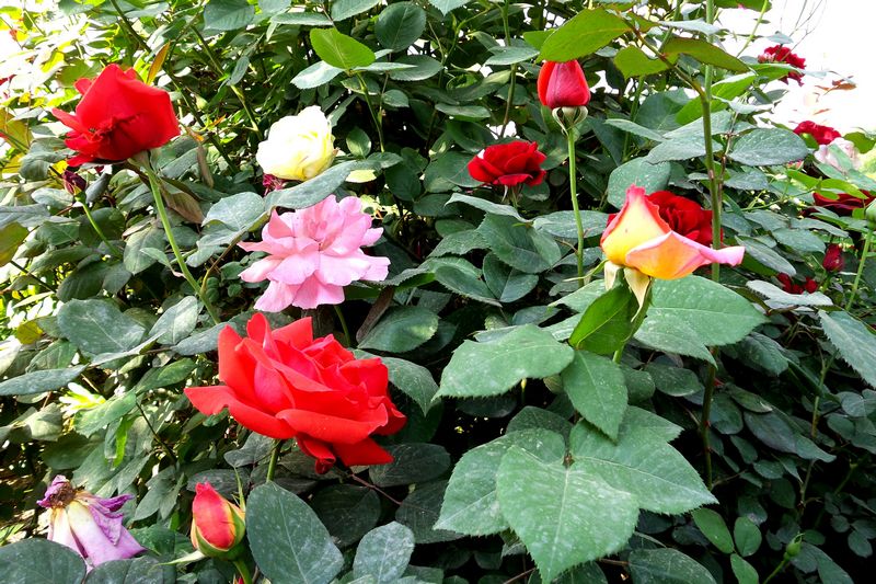 20170428_091622.jpg