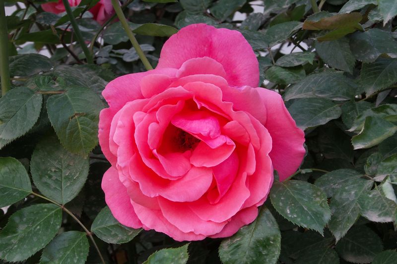 20170430_065346.jpg
