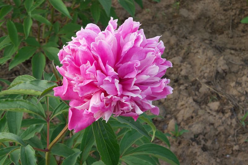 20170507_063038.jpg