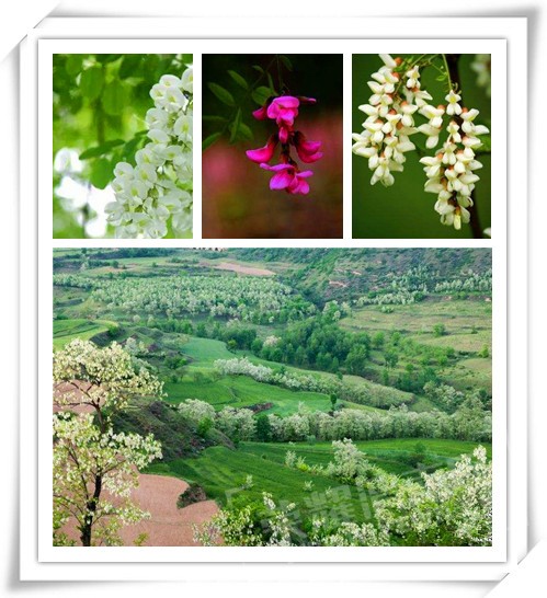 timg (18)_����.jpg