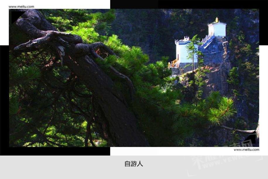 timg (3)_����.jpg