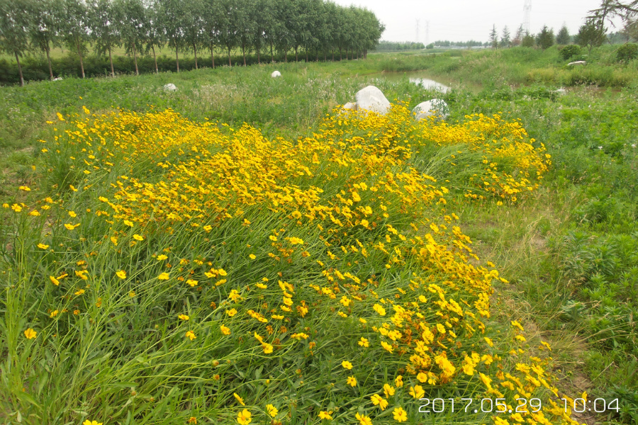 20170529_100451.jpg