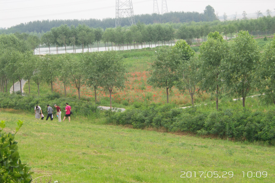 20170529_100919.jpg