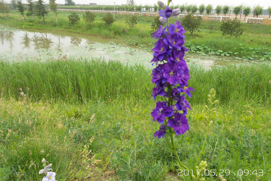20170529_094333.jpg