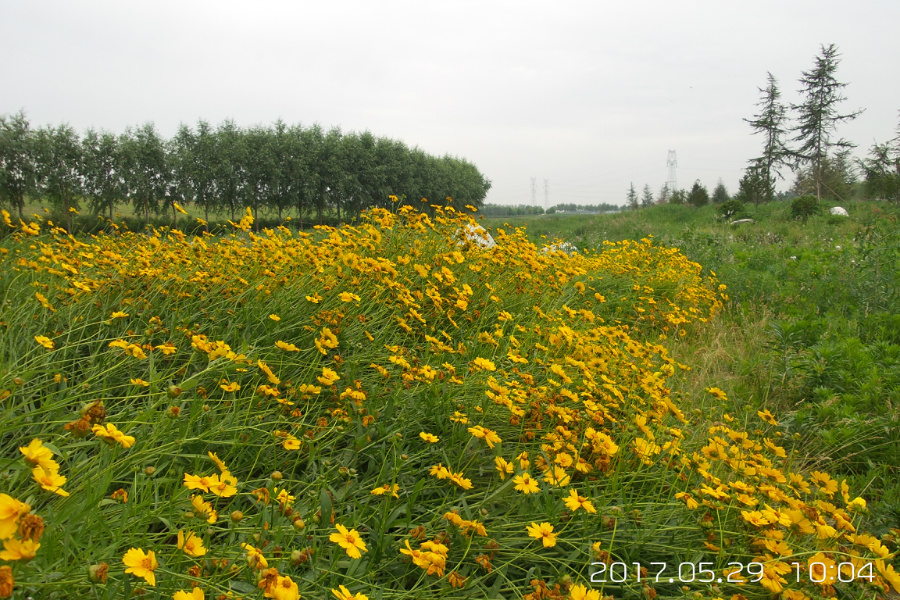 20170529_100442.jpg