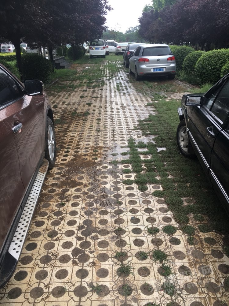 201706051904031496624318105574.jpg