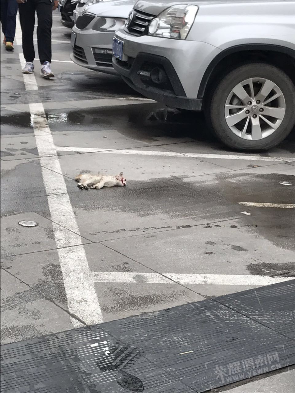 1.jpg