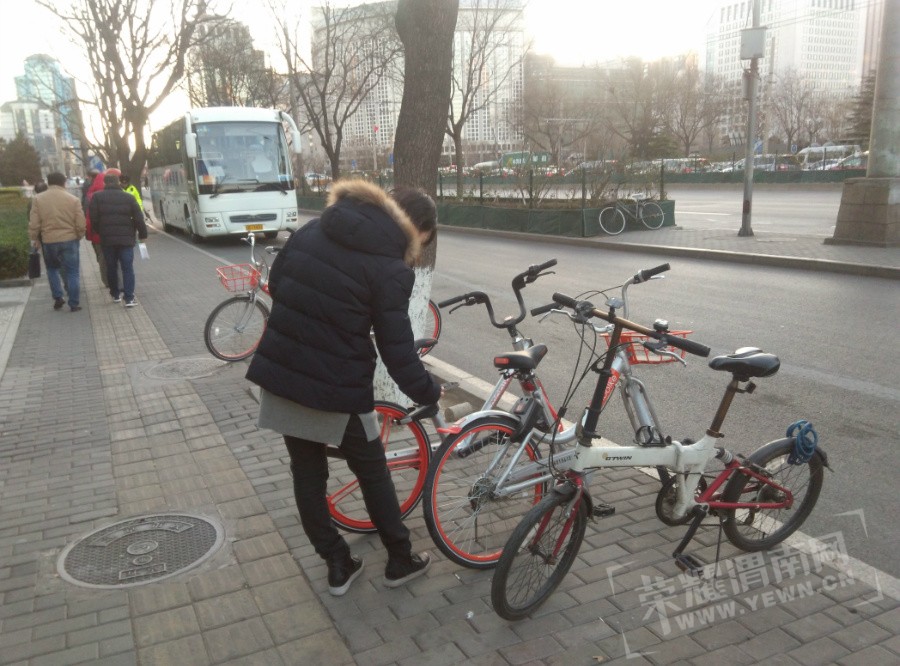 20170113.080007.jpg