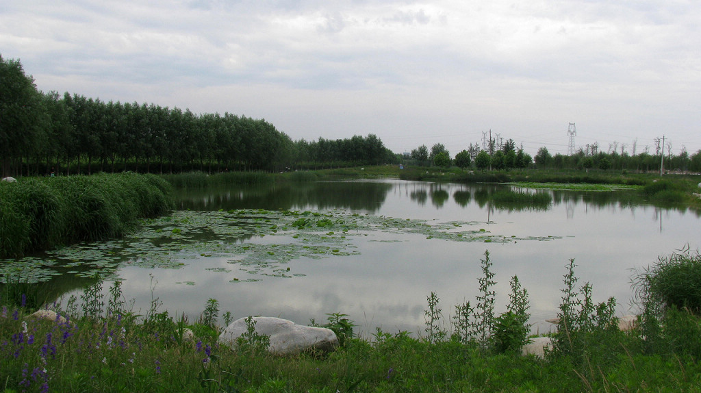010.jpg