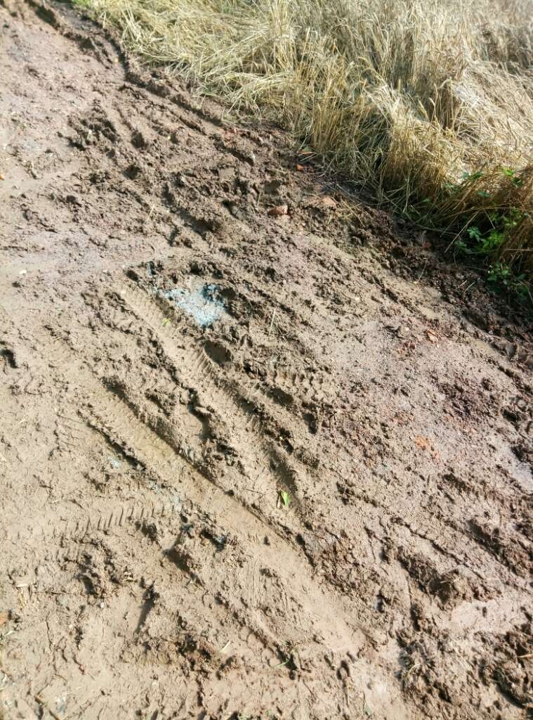 20170610_160106_1497071532656.jpg