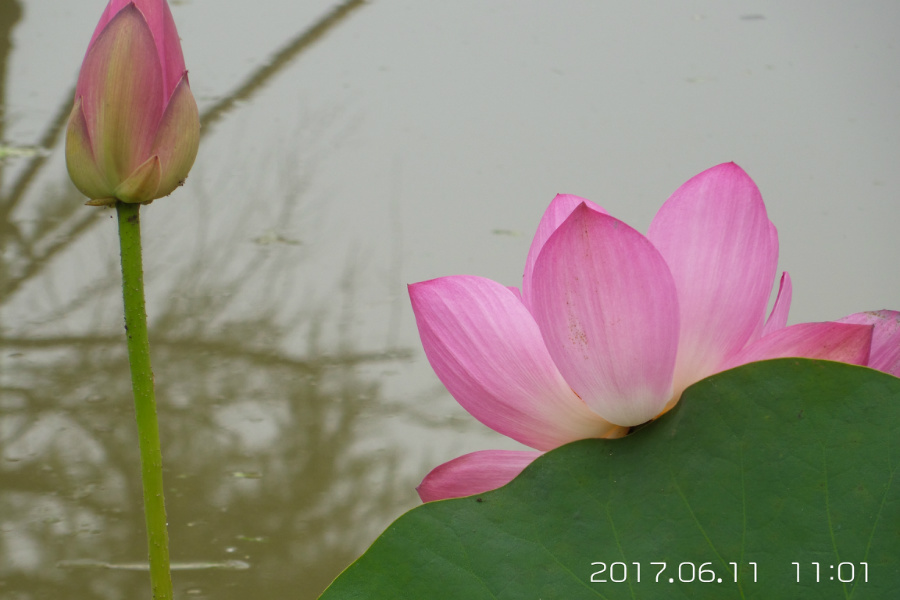 20170611_110155.jpg