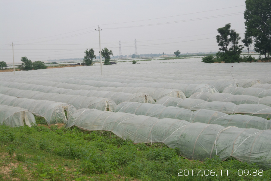 20170611_093834.jpg