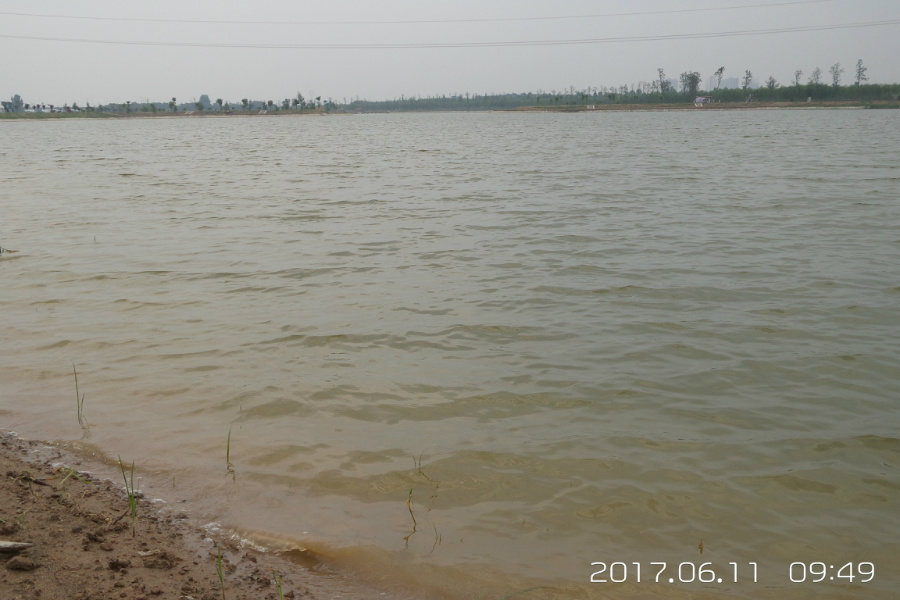 20170611_094929.jpg