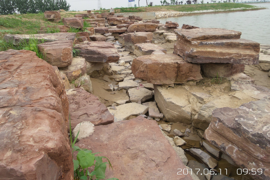 20170611_095903.jpg